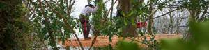 Constructeur de cabane sur une plateforme