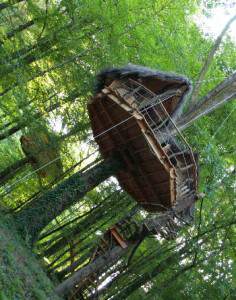 Cabane Dream - Construction en Haute Marne