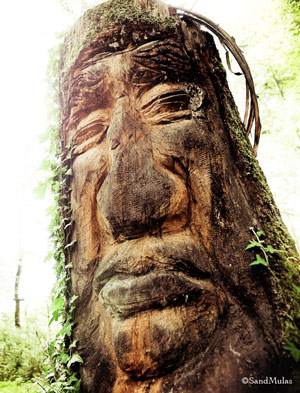 L'esprit d'Abane, constructeur de cabanes dans les arbres