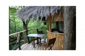 Cabane Dream en Haute Marne
