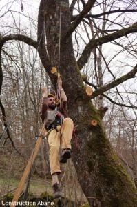 Construction de cabane dans les arbres