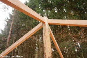 Construction de cabane dans les arbres