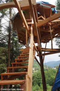 Chantier Bol d'air dans les vosges