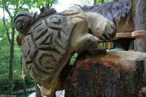 Tortue sculptée