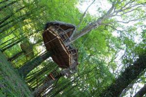 Cabane Dream à l'Arbre à Cabane en Haute Marne - Construction Abane