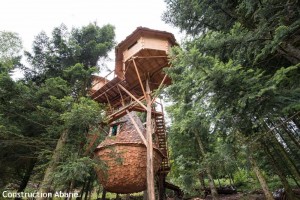 Cabanes sur pilotis à Bol d'Air dans les Vosges