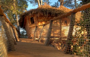 Cabane perchée