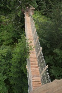 Cabane dans les arbres à 13m de haut - Cabanes des Volcans
