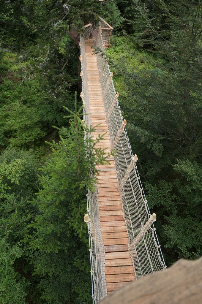 Cabane dans les arbres à 13m de haut - Cabanes des Volcans