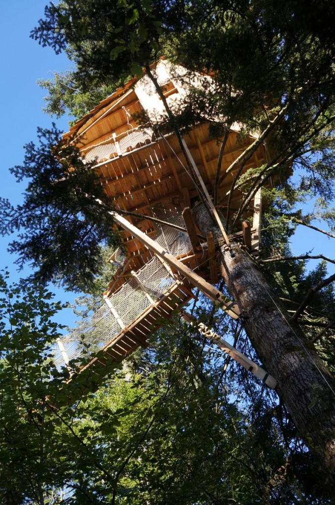 Cabane dans les arbres à 13m de haut - Cabanes des Volcans
