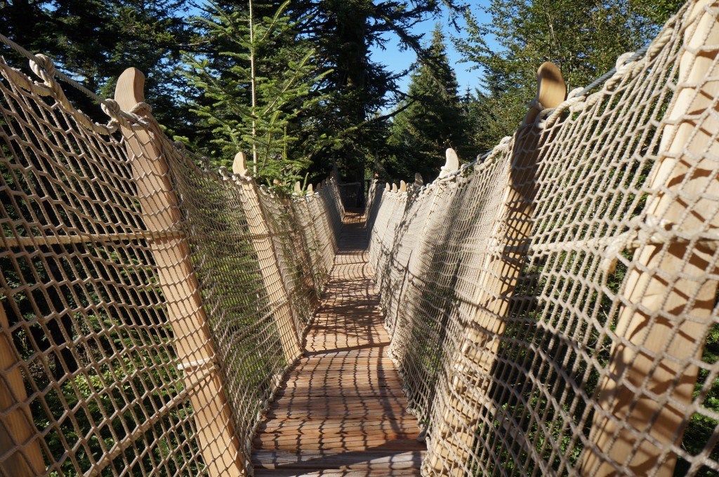 Cabane dans les arbres à 13m de haut - Cabanes des Volcans