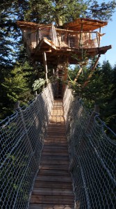 Cabane Nis de Bisou en Auvergne