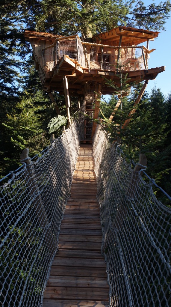 Cabane perchée Nis de Bisou