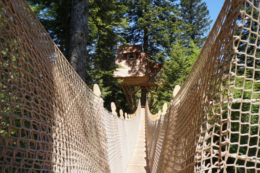Cabane dans les arbres NIs Dau Sapi