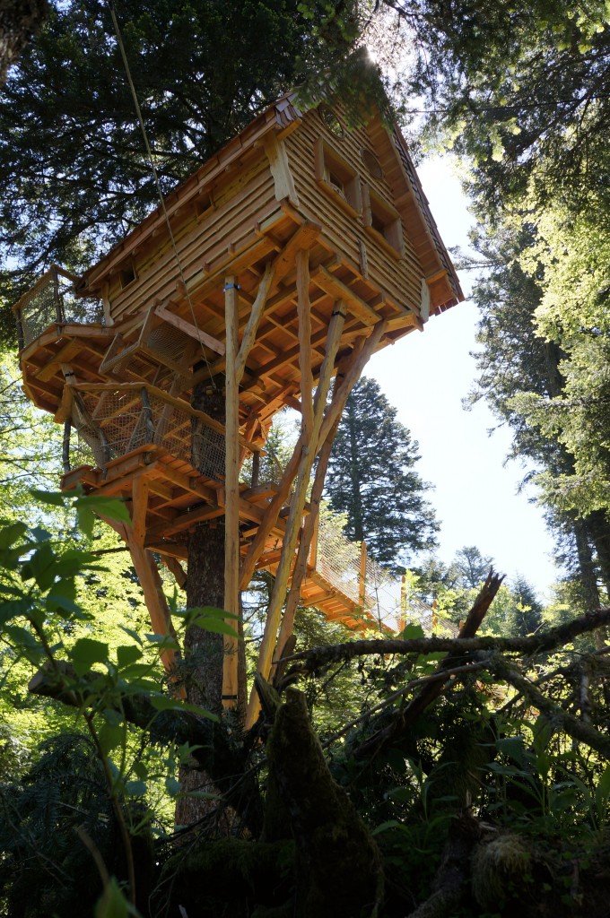 Cabane dans les arbres NIs Dau Sapi