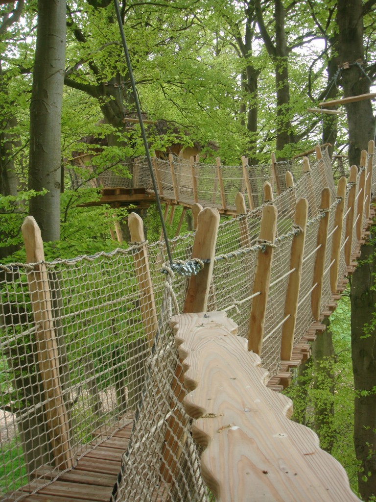 Passerelles vers cabane