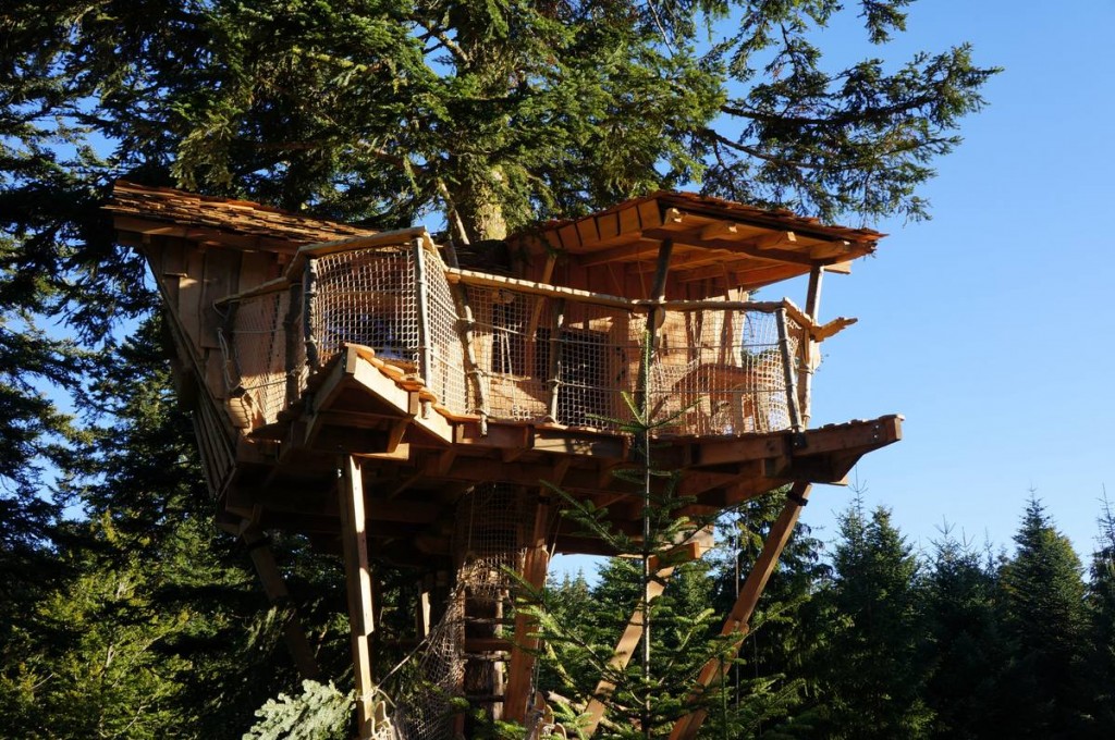 Cabane dans les arbres  à 13m de haut - Cabanes des Volcans